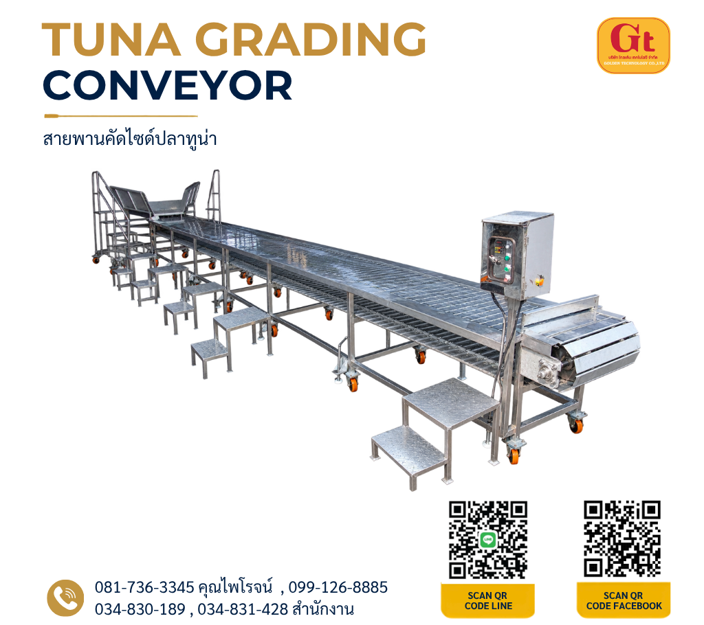 เครื่องจักรสายพานคัดไซด์ปลาทูน่า (Tuna Grading Conveyor) ผลิตจากสแตนเลสเกรดอาหาร มีความแข็งแรงทนทาน ช่วยให้การคัดแยกขนาดปลาทูน่าในโรงงานอุตสาหกรรมเป็นไปอย่างรวดเร็ว สะอาด และได้มาตรฐาน