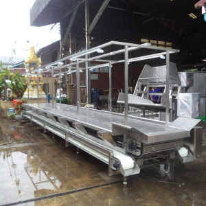 สายพานผ่าท้องปลาทูน่า (Tuna Evisceration Conveyor) สแตนเลสสำหรับโรงงานแปรรูปอาหารทะเล
