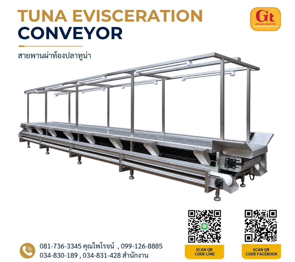 สายพานผ่าท้องปลาทูน่า (Tuna Evisceration Conveyor) สแตนเลสสำหรับโรงงานแปรรูปอาหารทะเล
