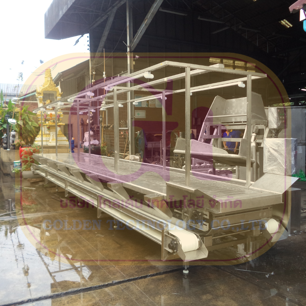 สายพานผ่าท้องปลาทูน่า (Tuna Evisceration Conveyor) สแตนเลสสำหรับโรงงานแปรรูปอาหารทะเล